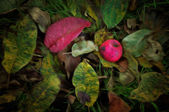 Nature morte