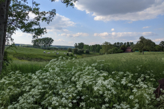 Paysage champêtre (Écaussinnes)