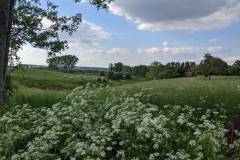 Paysage champêtre (Écaussinnes)