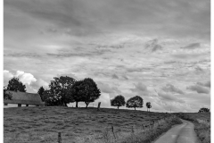 Chemin de campagne