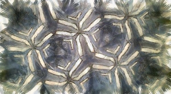 Art numérique Art numérique