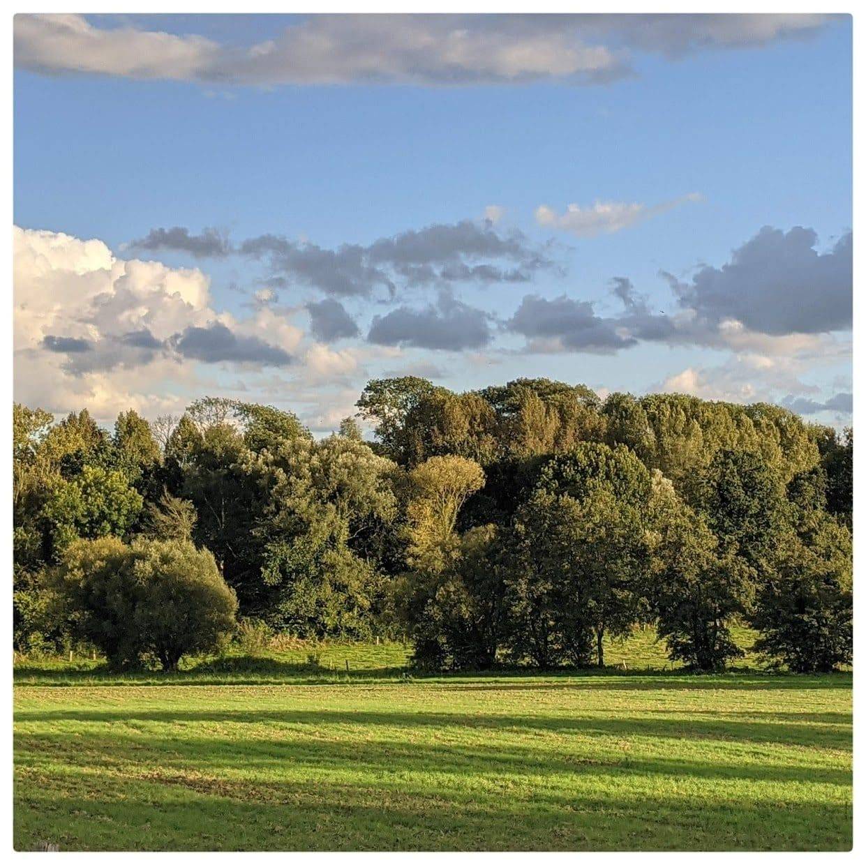 belle lumière de fin de journée ideale pour la photographie de paysages