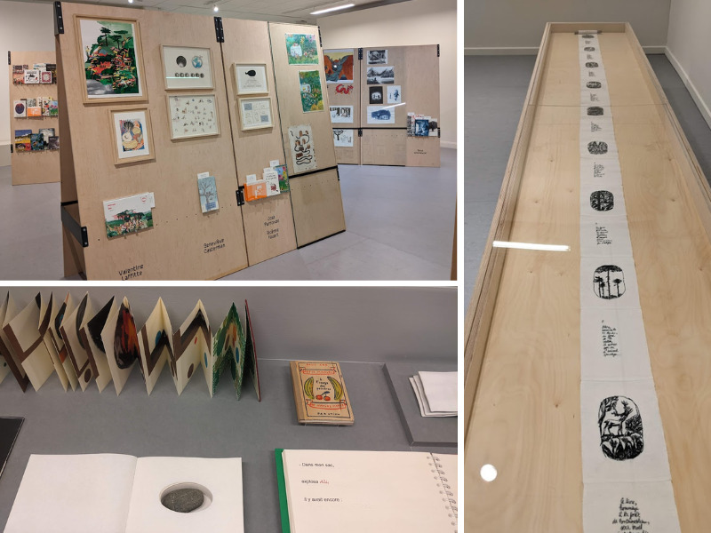 Exposition collectionner l'image 